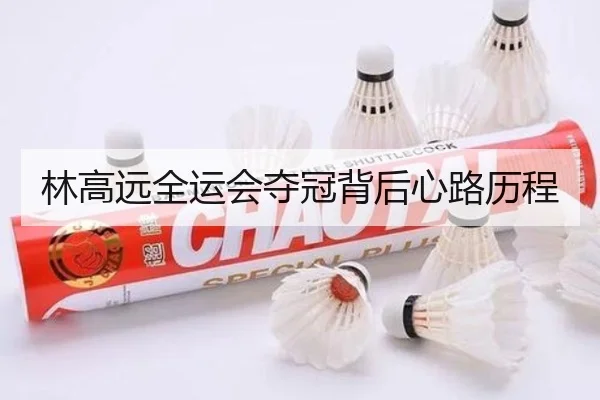 林高远全运会夺冠背后心路历程